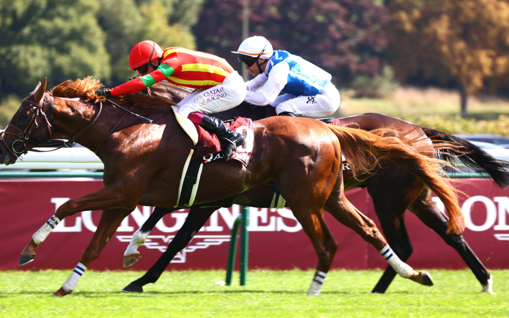 Original pmu || originalpmu